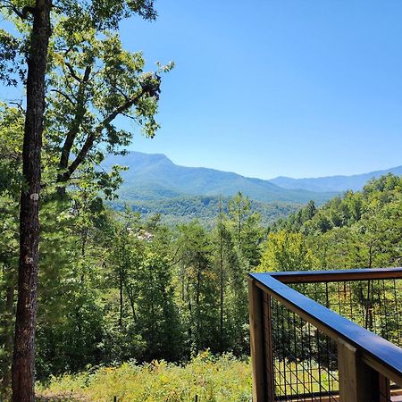 A Grand View Lodge #540 ガトリンバーグ エクステリア 写真